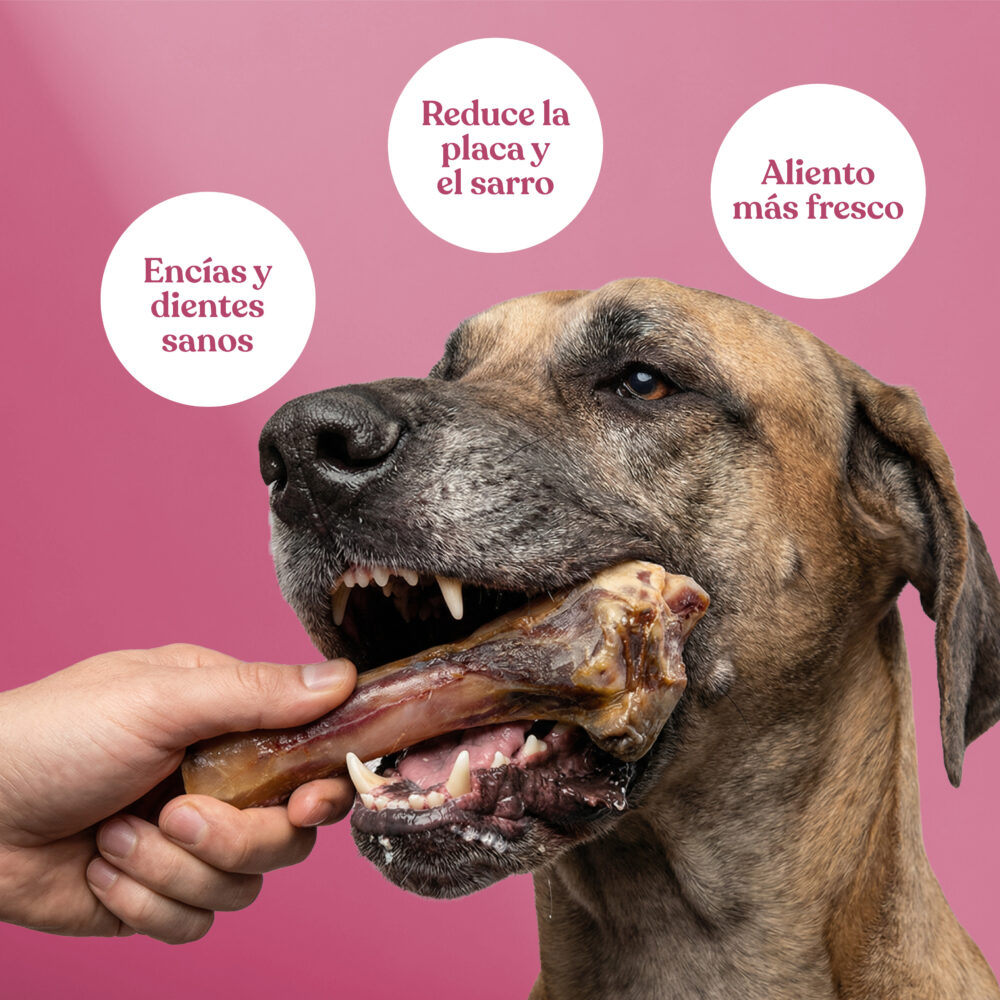 2means-bone-ham 2half scaled ham bones