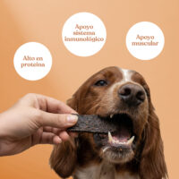 Beneficios filete pato arandano