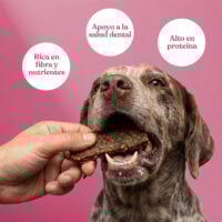 Beneficios filetes cerdo zanahoria