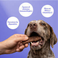 Beneficios filetes conejo naranja