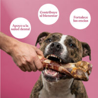 Beneficios jamon loncha jamon