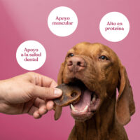 Beneficios morros cerdo