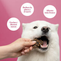 Beneficios nugget cerdo manzana