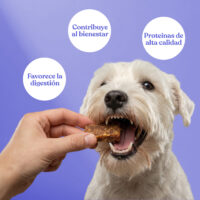 Beneficios nugget conejo patata