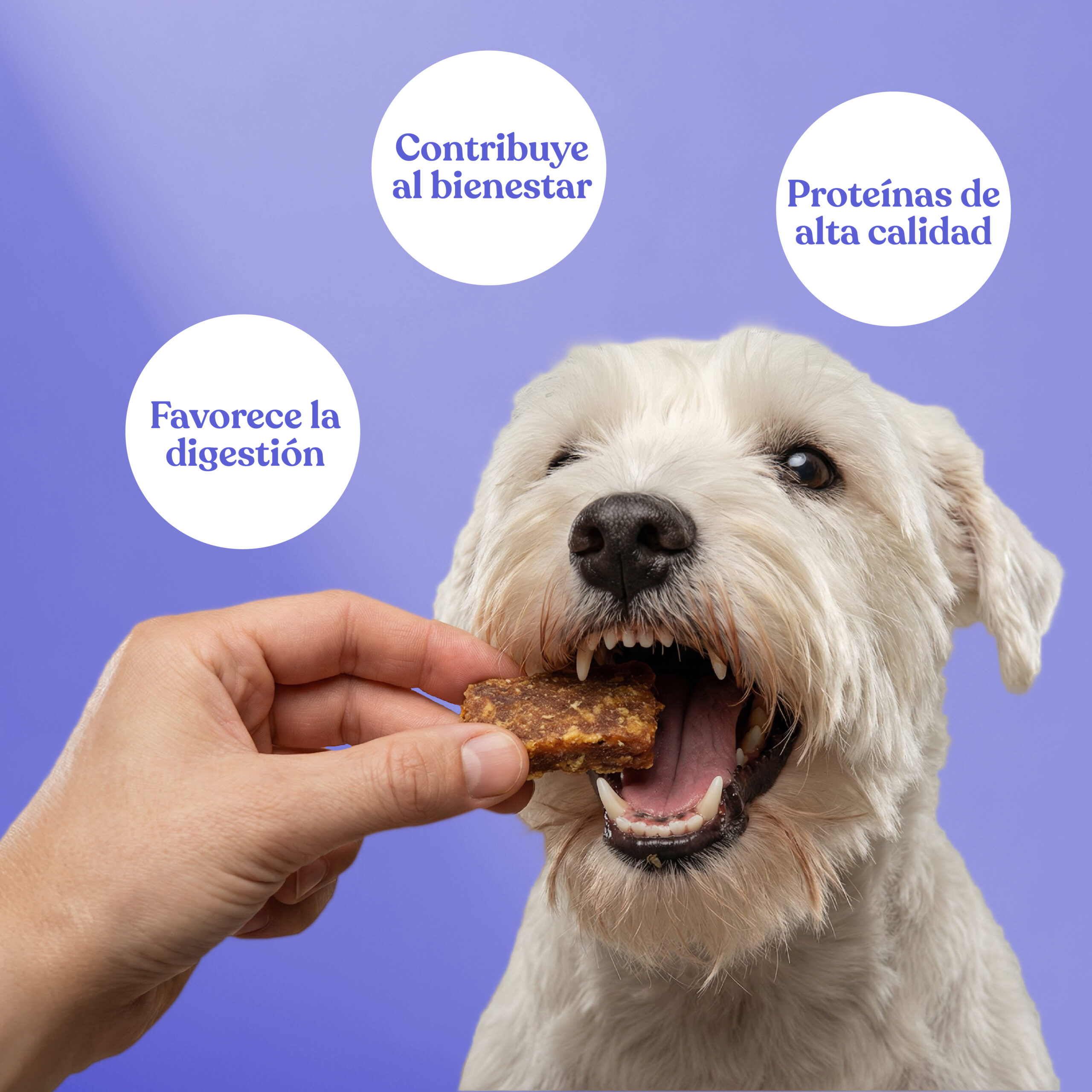 Beneficios nugget conejo patata scaled