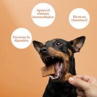 Beneficios nugget pato naranja