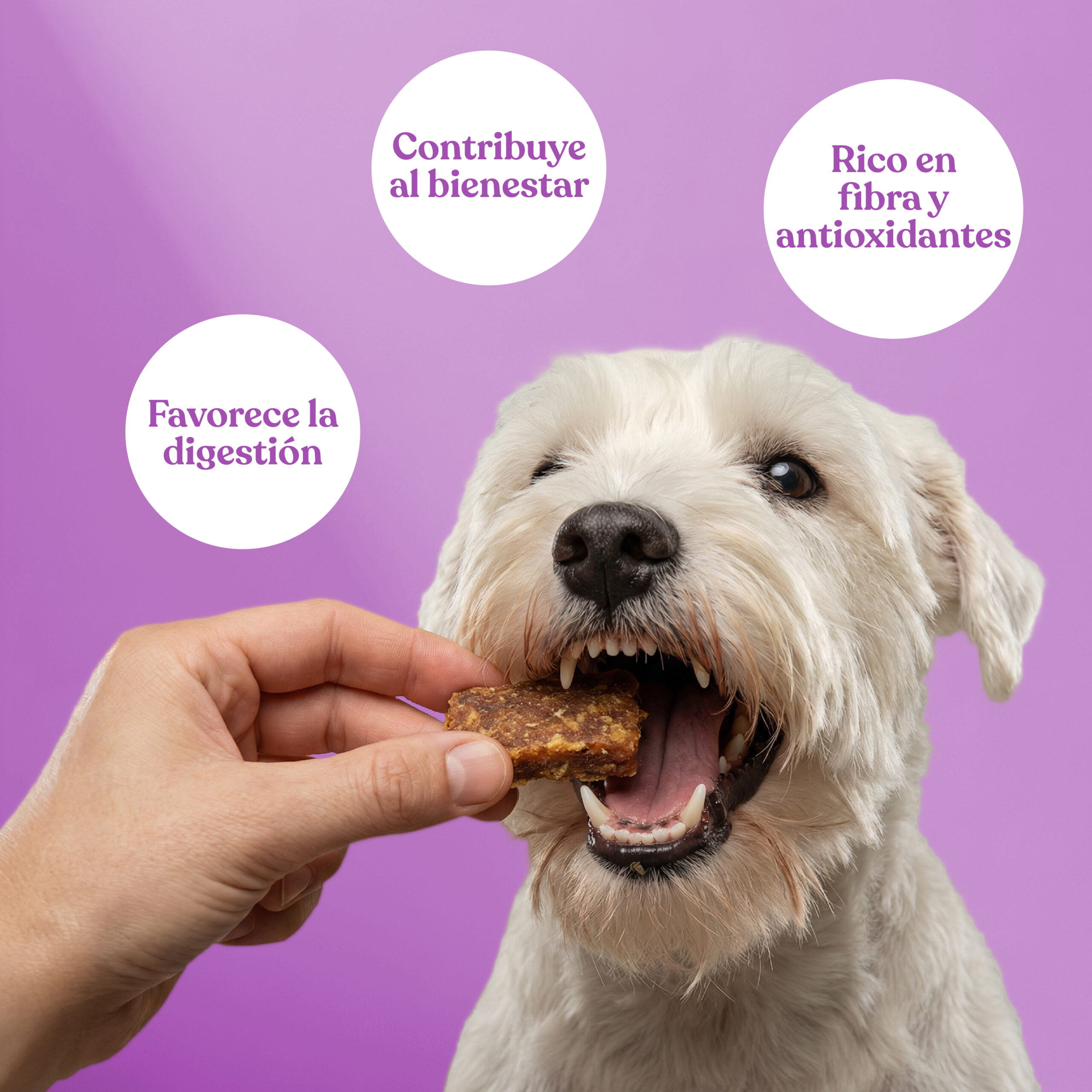 Beneficios nugget pavo remolacha scaled