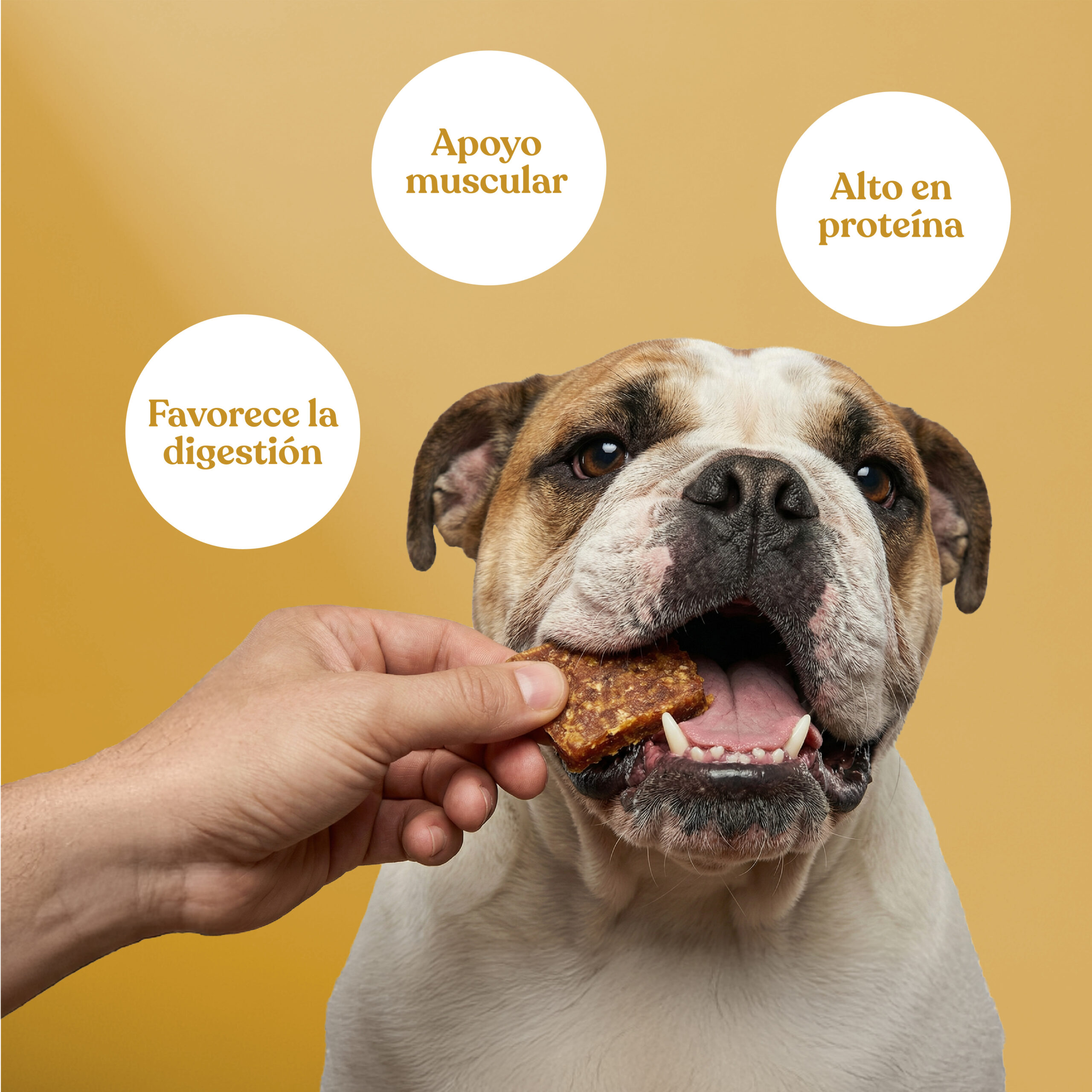 Beneficios nugget pollo brocoli scaled