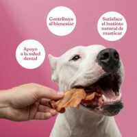 Beneficios orejas cerdo