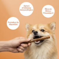 Beneficios salchicha pato naranja