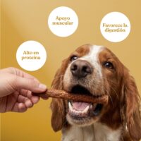 Beneficios salchichas pollo brocoli