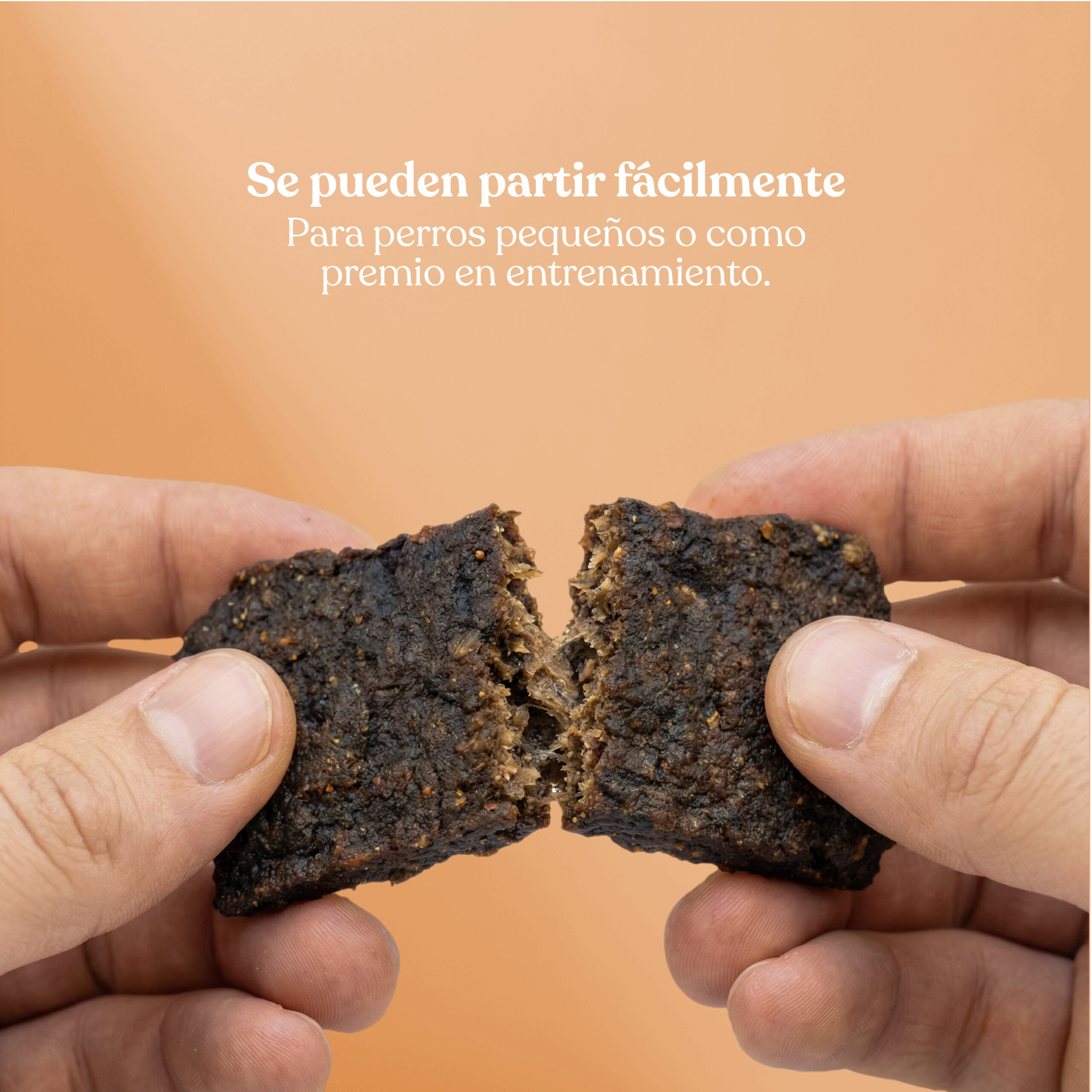 Beneficios2 filete pato arandano scaled