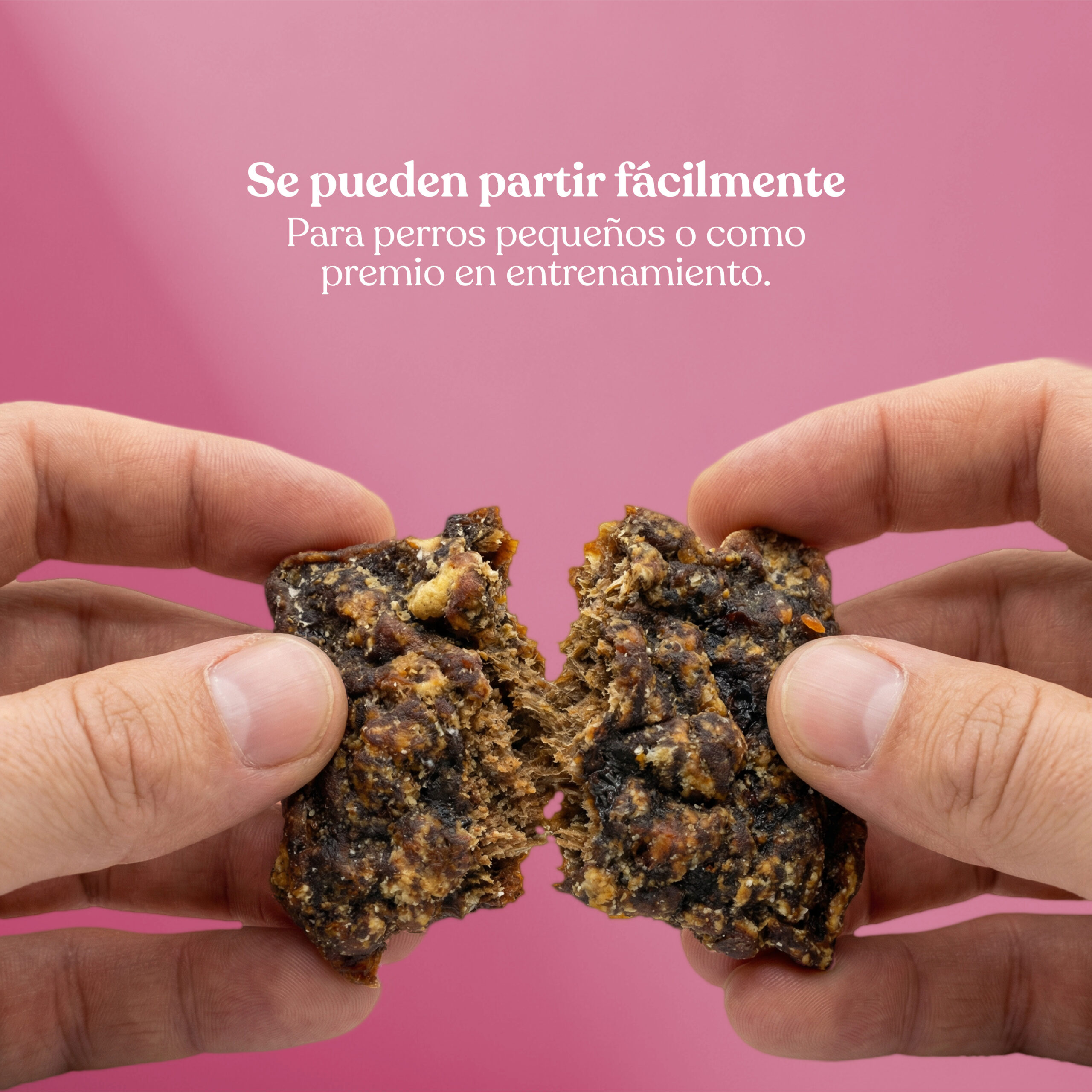 Beneficios2 nugget cerdo manzana scaled