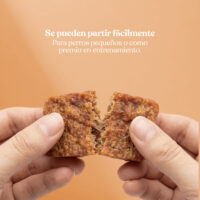 Beneficios2 nugget pato naranja