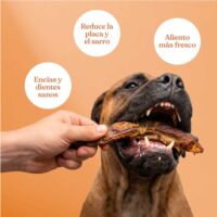 Cuellos de Pato 1 1 scaled