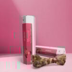 Bone with slice of ham (2 pieces).