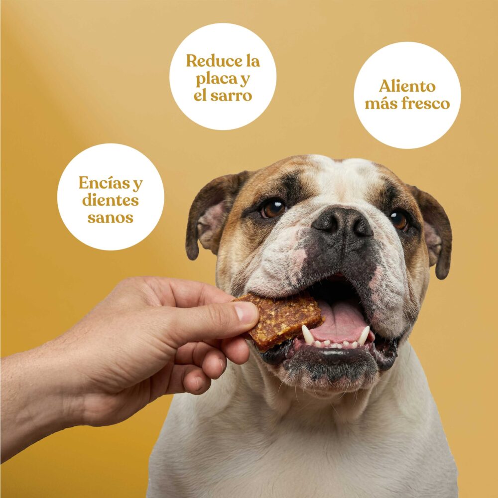 Nuggets Nuggets scaled