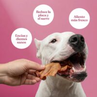 Orejas de cerdo 1 scaled