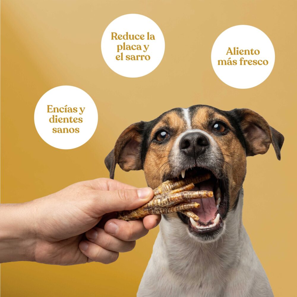 Patas-de-pollo Patas de pollo 1 scaled