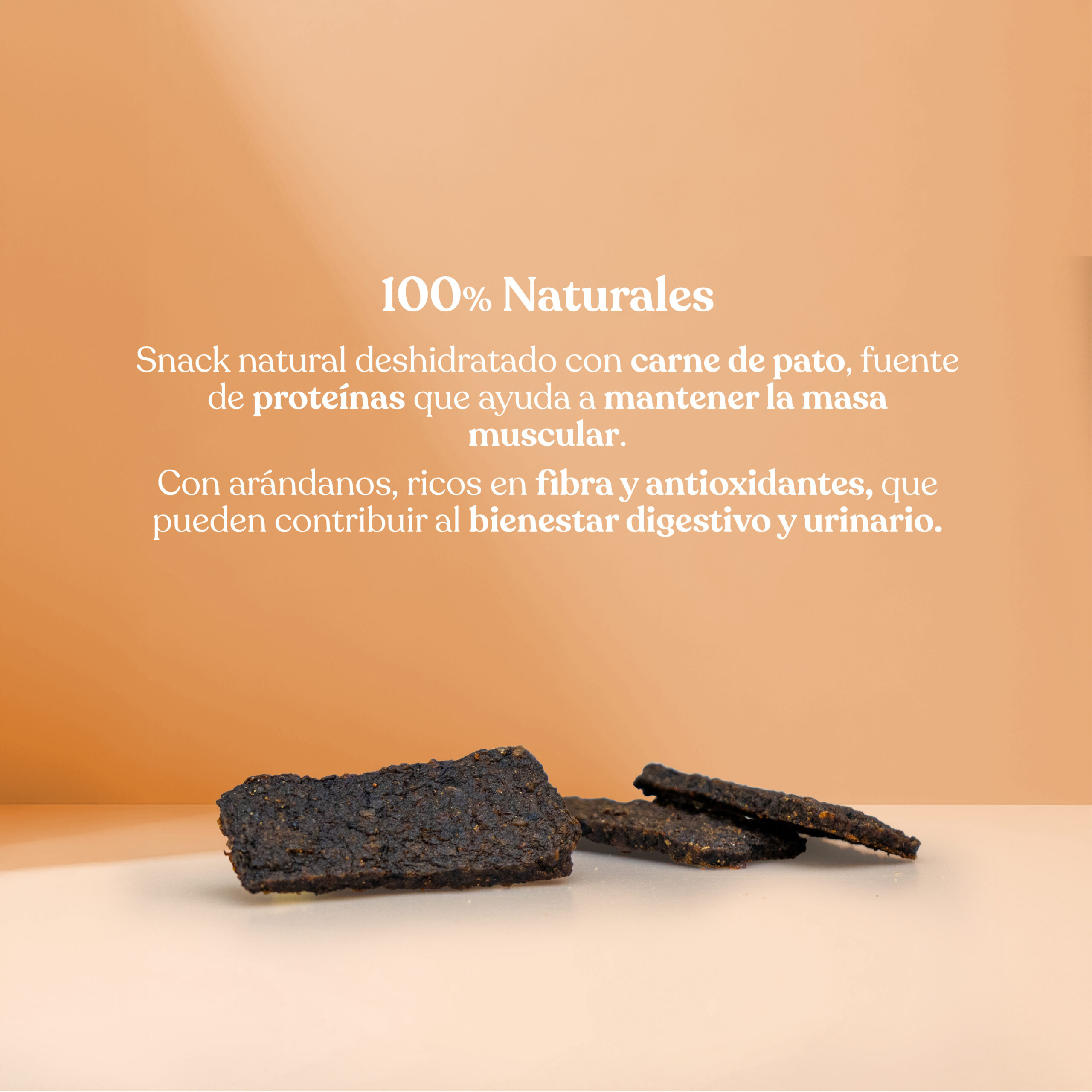 Proteina filete pato arandano scaled