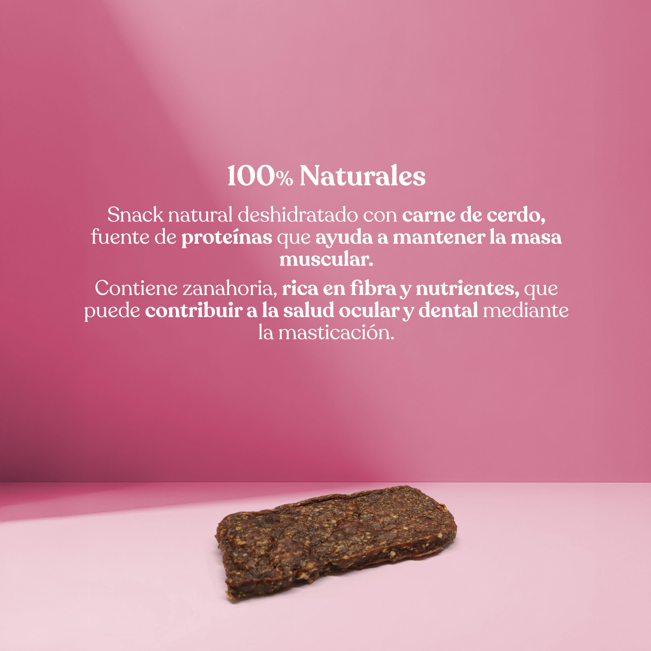 Proteina filetes cerdo zanahoria scaled