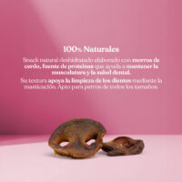 Proteina morros cerdo