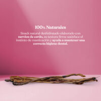 Proteina-nervio-cerdo Proteina nervio cerdo