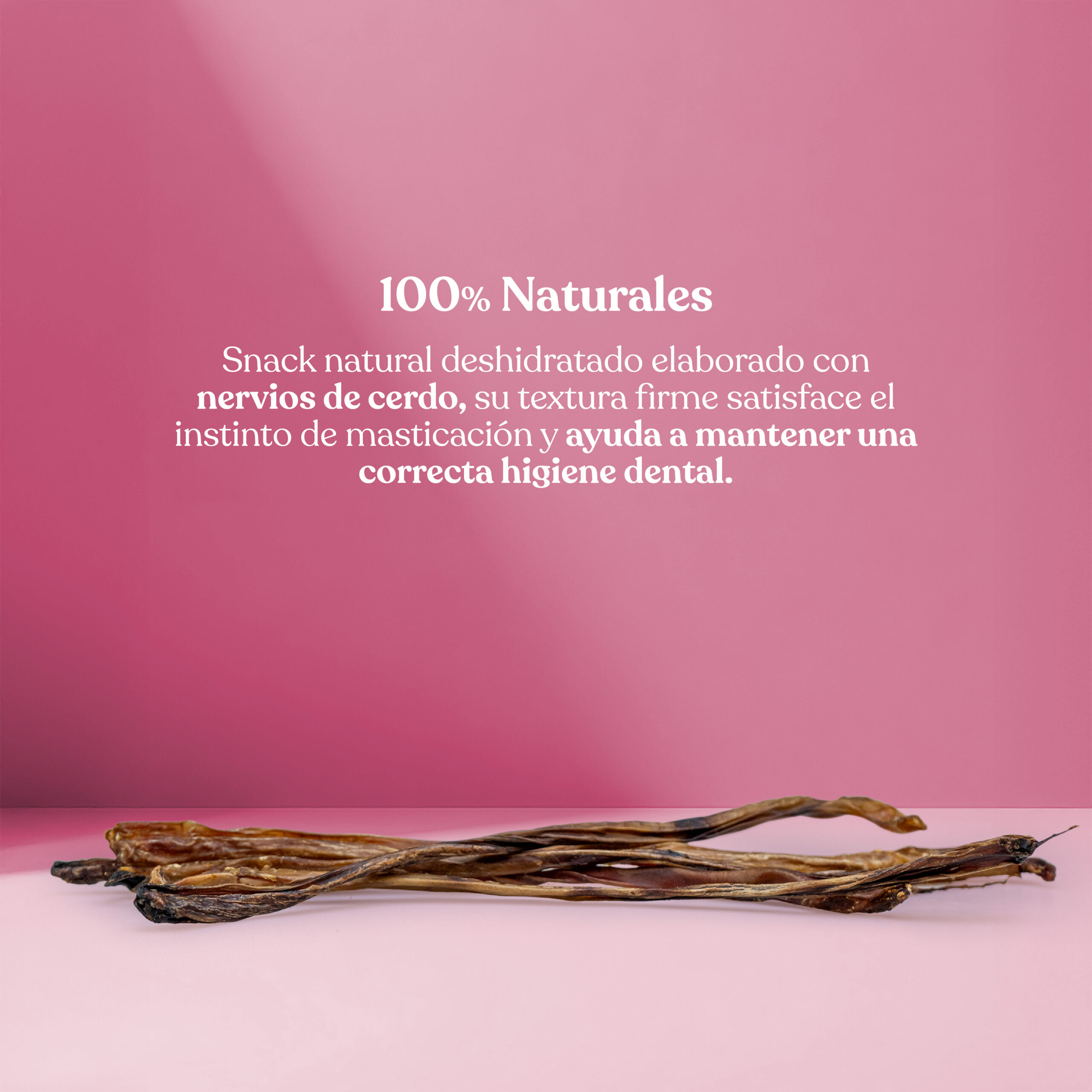 Proteina-nervio-cerdo Proteina nervio cerdo scaled