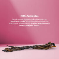 Proteina nervio cerdo trenzado