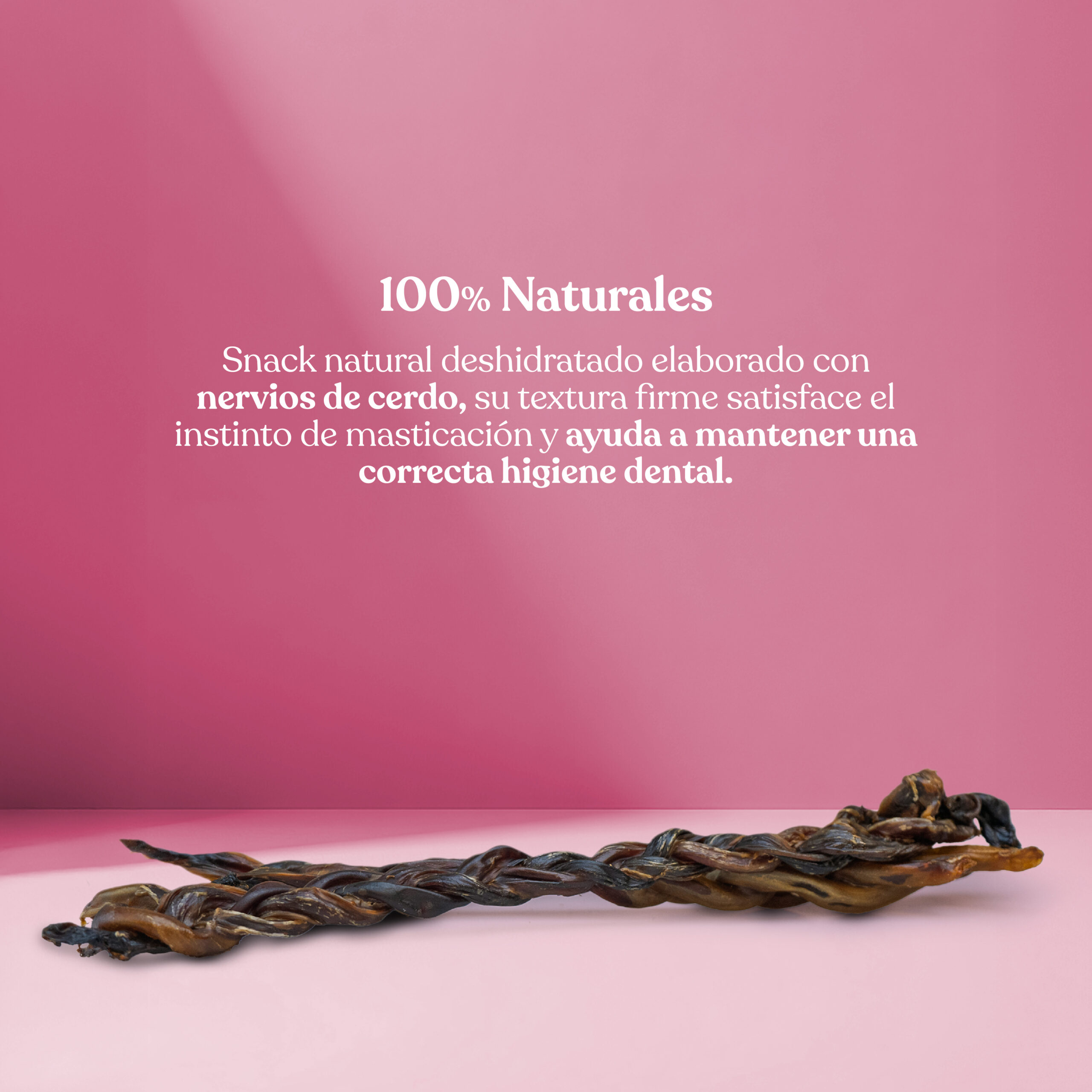 Proteina nervio cerdo trenzado scaled