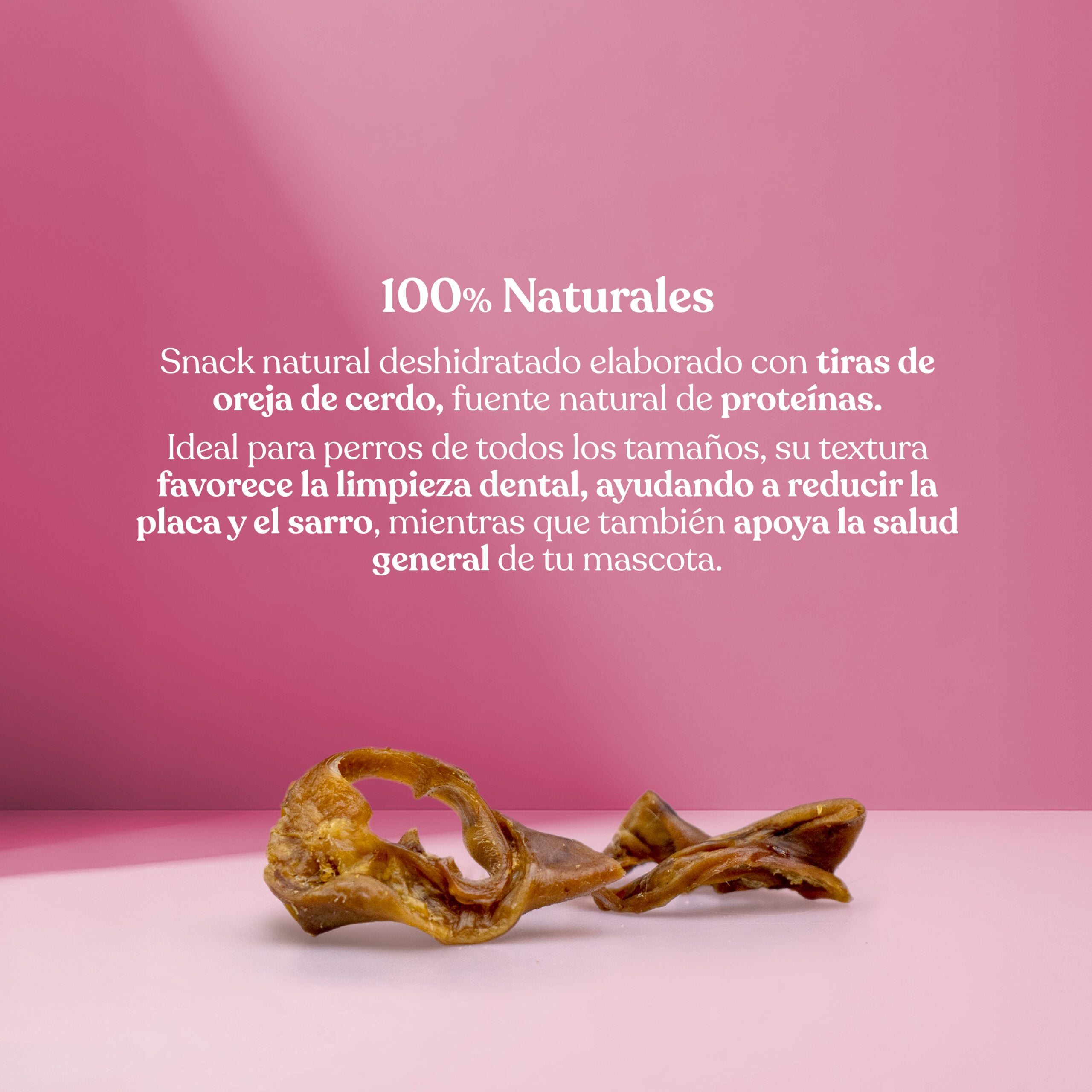 Proteina tiras oreja cerdo scaled