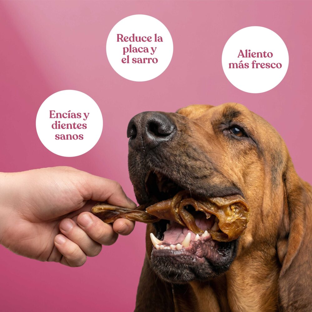 Tiras-de-Oreja-de-Cerdo Tiras de Oreja de Cerdo 1 scaled