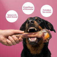 Beneficios-hueso-jamon Beneficios hueso jamon