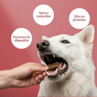 Beneficios filete ternera remolacha