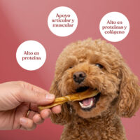 Beneficios palitos caravaca