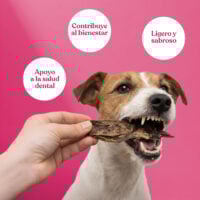 Beneficios-pulmon-cordero Beneficios pulmon cordero