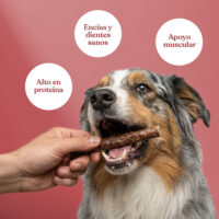 Beneficios salchichas ternera zanahoria