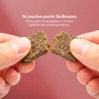 Beneficios2 daditos ternera