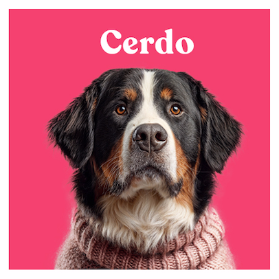 Cerdo 450x450 1