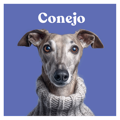 Conejo 450x450 1
