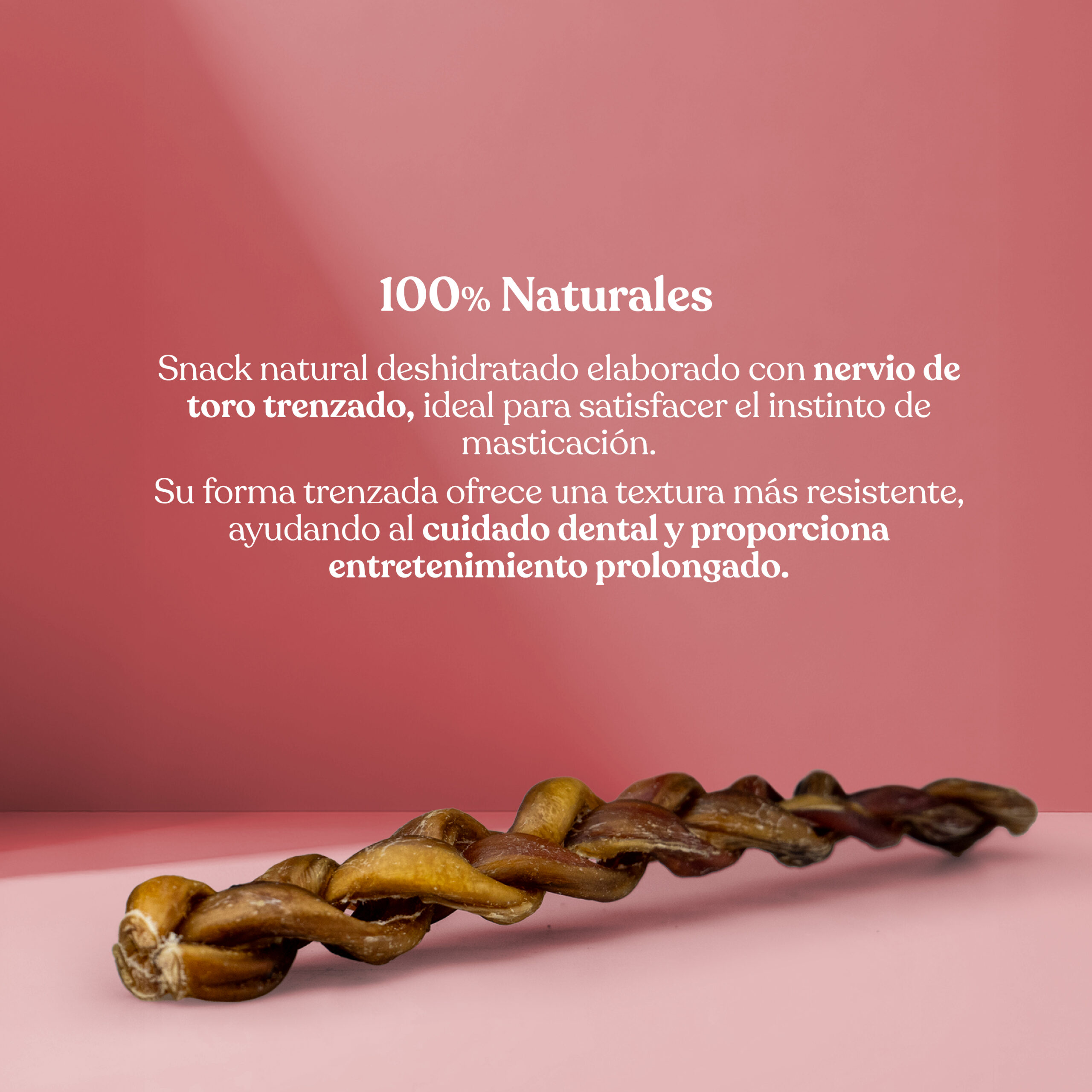 Proteina nervio oro trenzado scaled