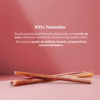 Proteina nervios toro 30