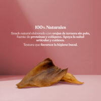 Proteina oreja ternera sin pelo