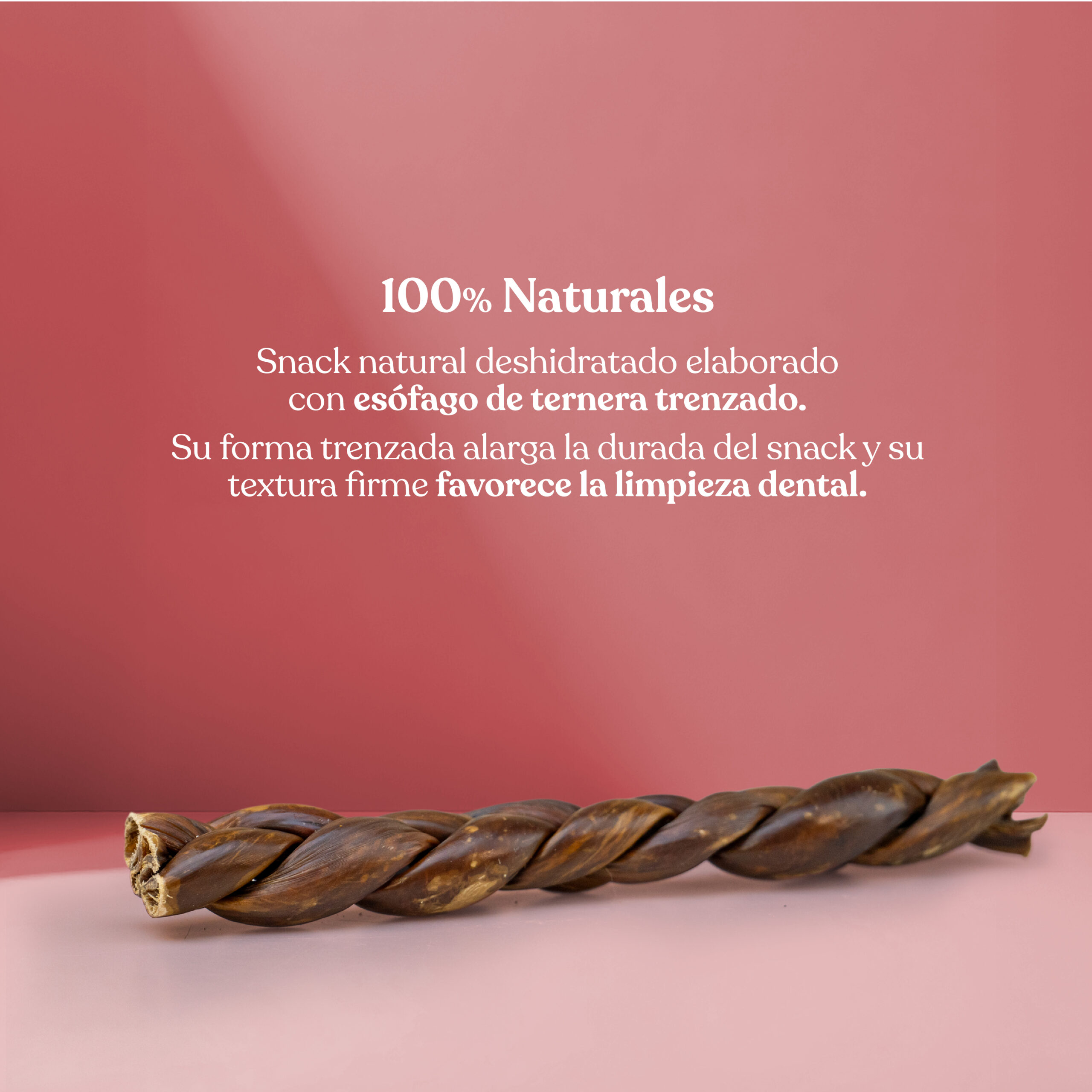 Proteina tiras esofago ternera trenzado scaled