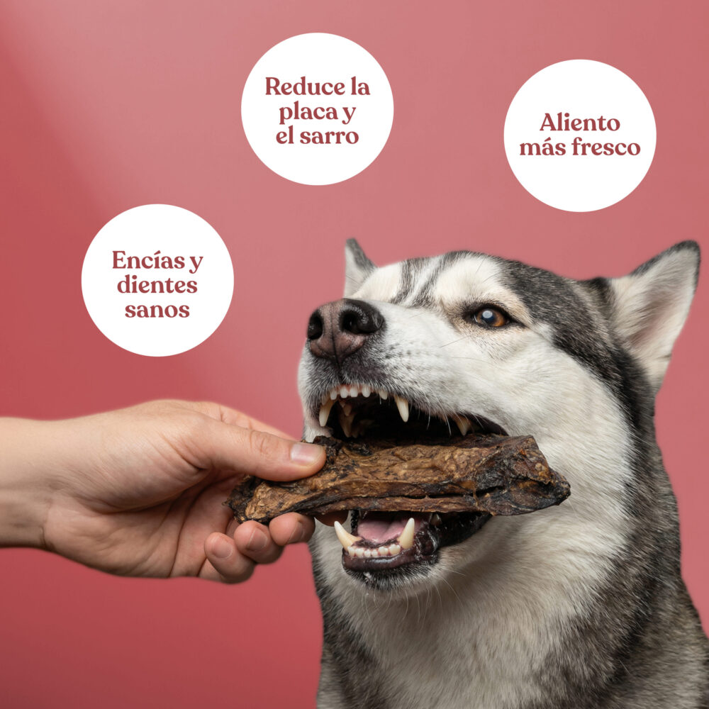 Pulmones-de-ternera (1) Pulmones de ternera 1 scaled