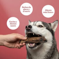 Pulmones-de-ternera (1) Pulmones de ternera 1 scaled