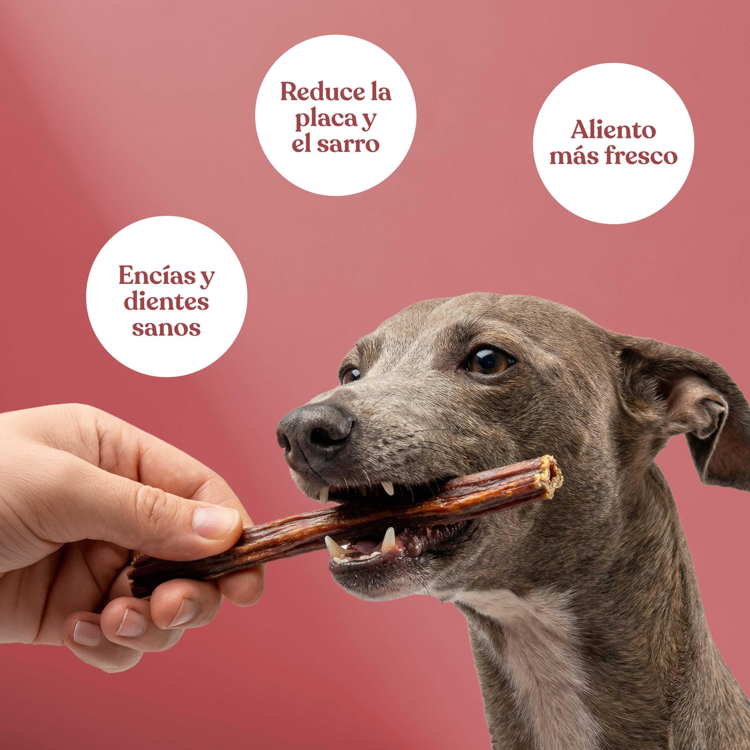 Tiras esofago ternera 1 scaled