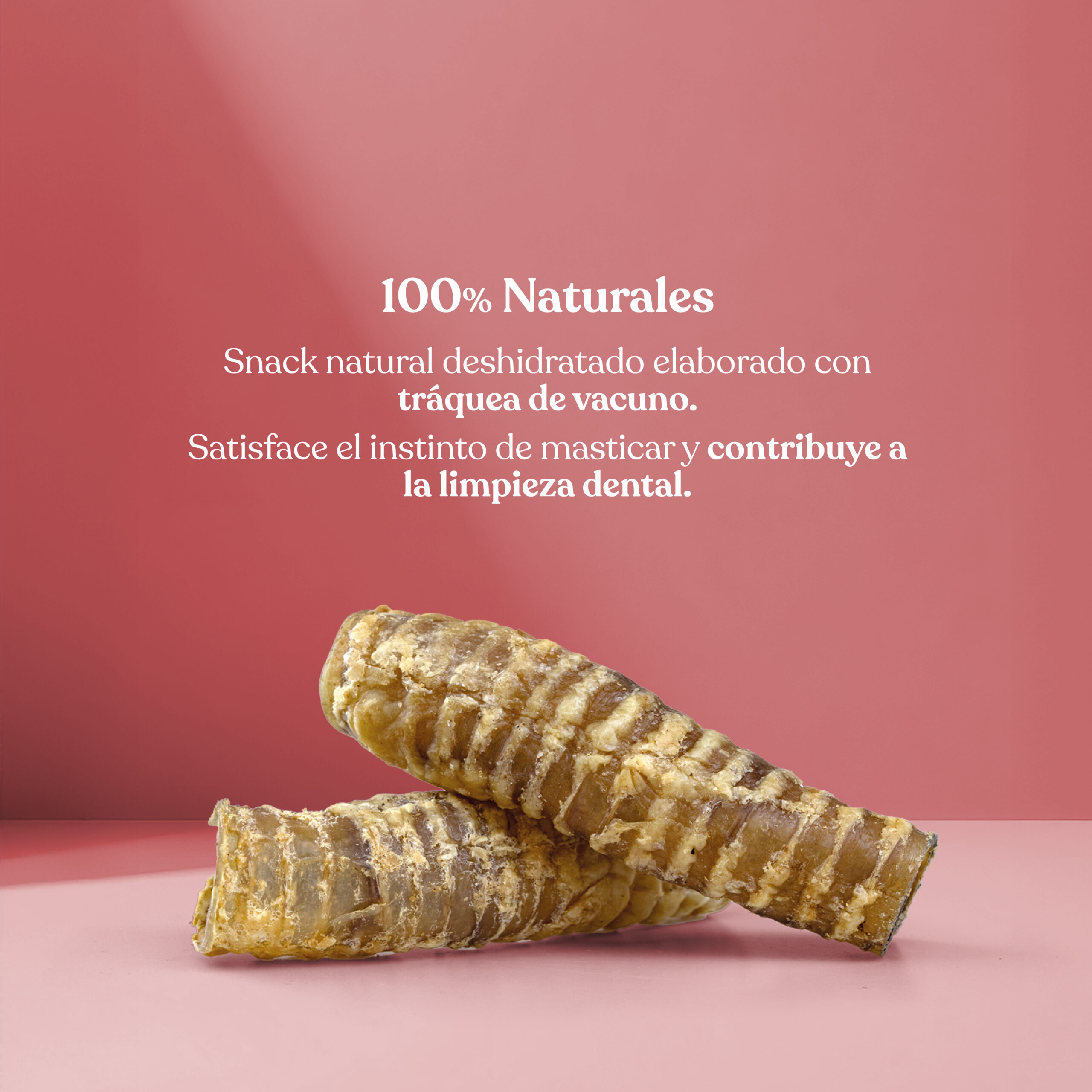 Proteina traquea ternera scaled