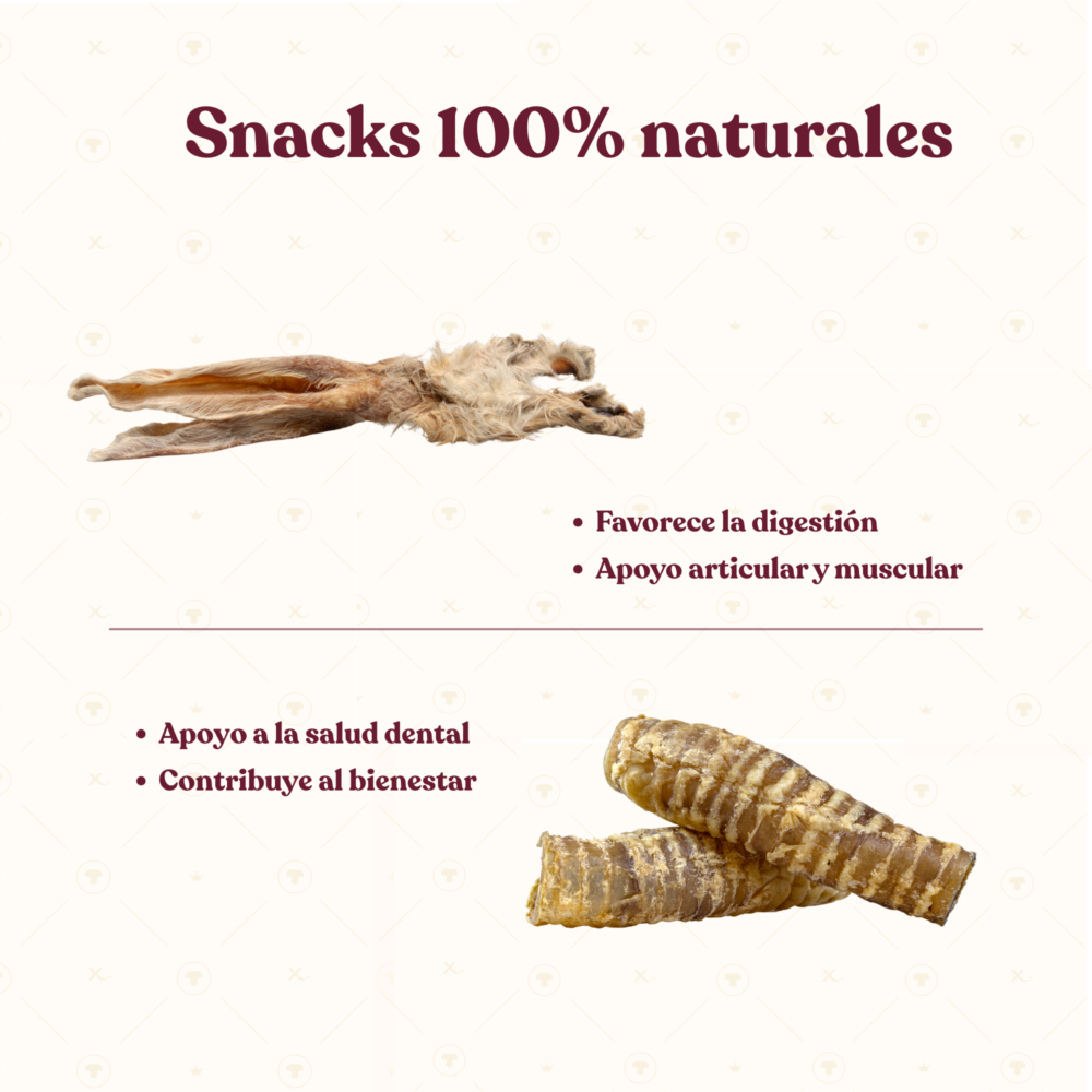 Dosis recomendada (1) Dosis recomendada 1