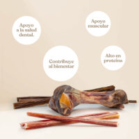 Pack dientes grandes beneficios 1